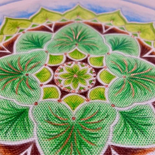 SeedDreamingGiftShopB.jpg