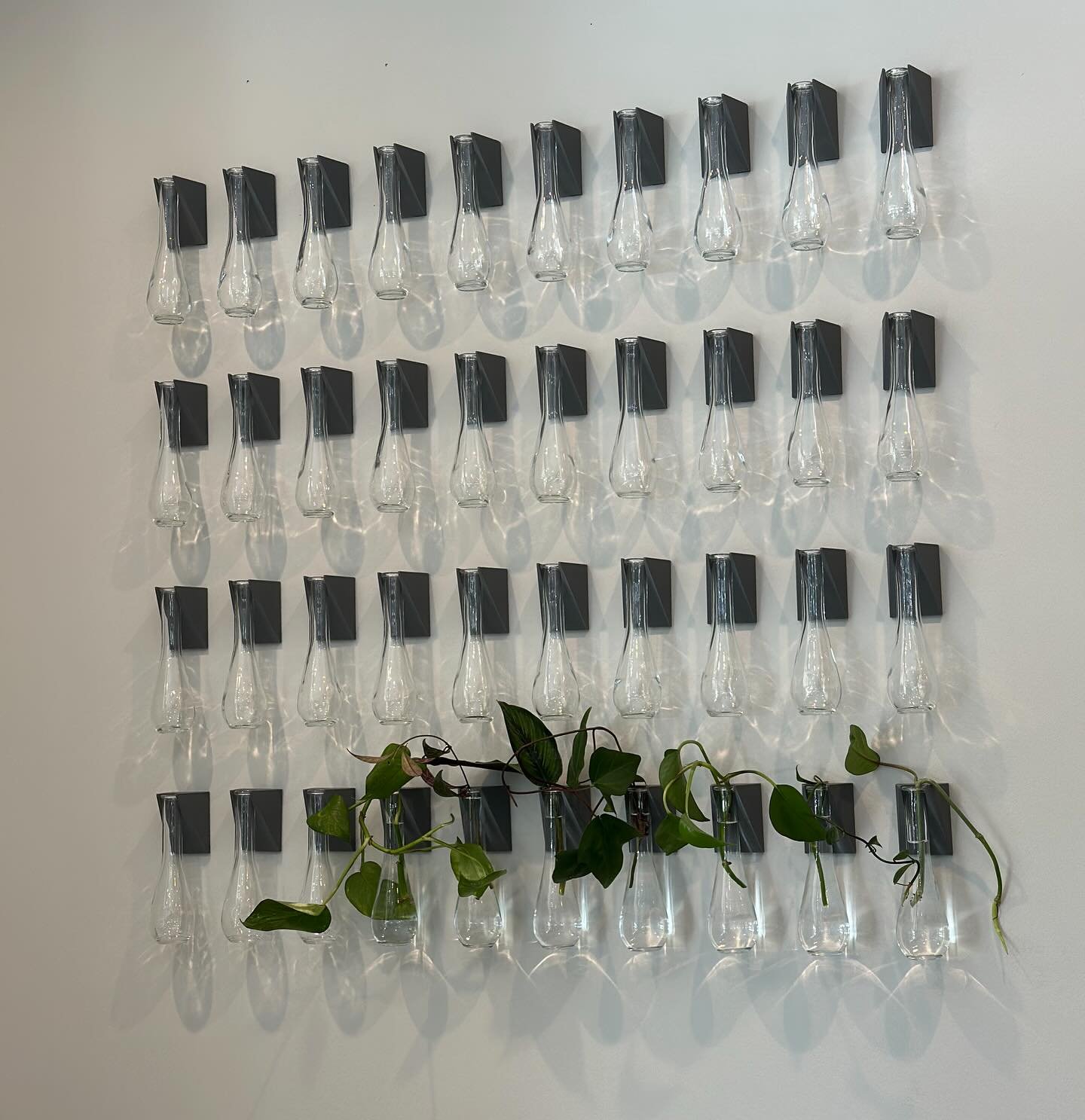 Fresh Air &amp; Fresh Growth at TBL! 🌿✨

Our new Propagation Wall is here! Want to be part of the growth? Bring a cutting from your favorite plant, and let&rsquo;s build something green together! 🌱💪 #TBL #PropagationWall #CleanAir #GrowTogether
