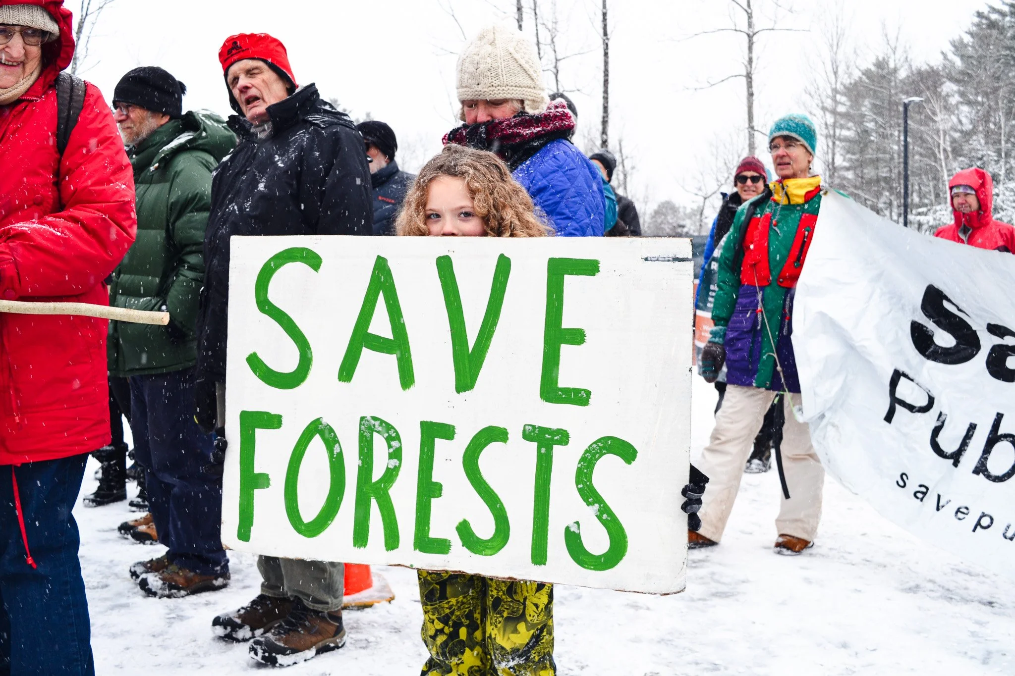 Save Forests.jpg