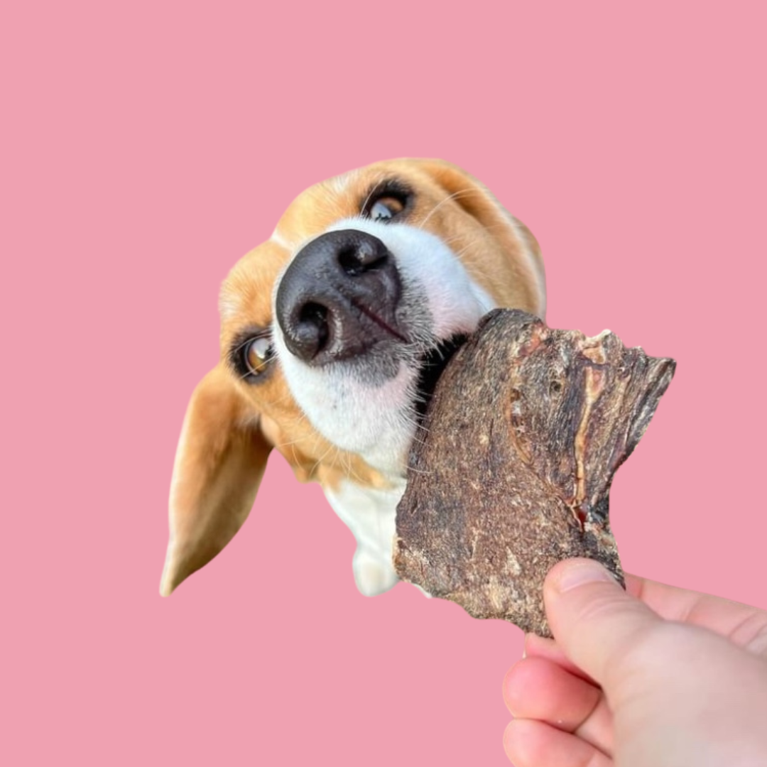 Emu Jerky