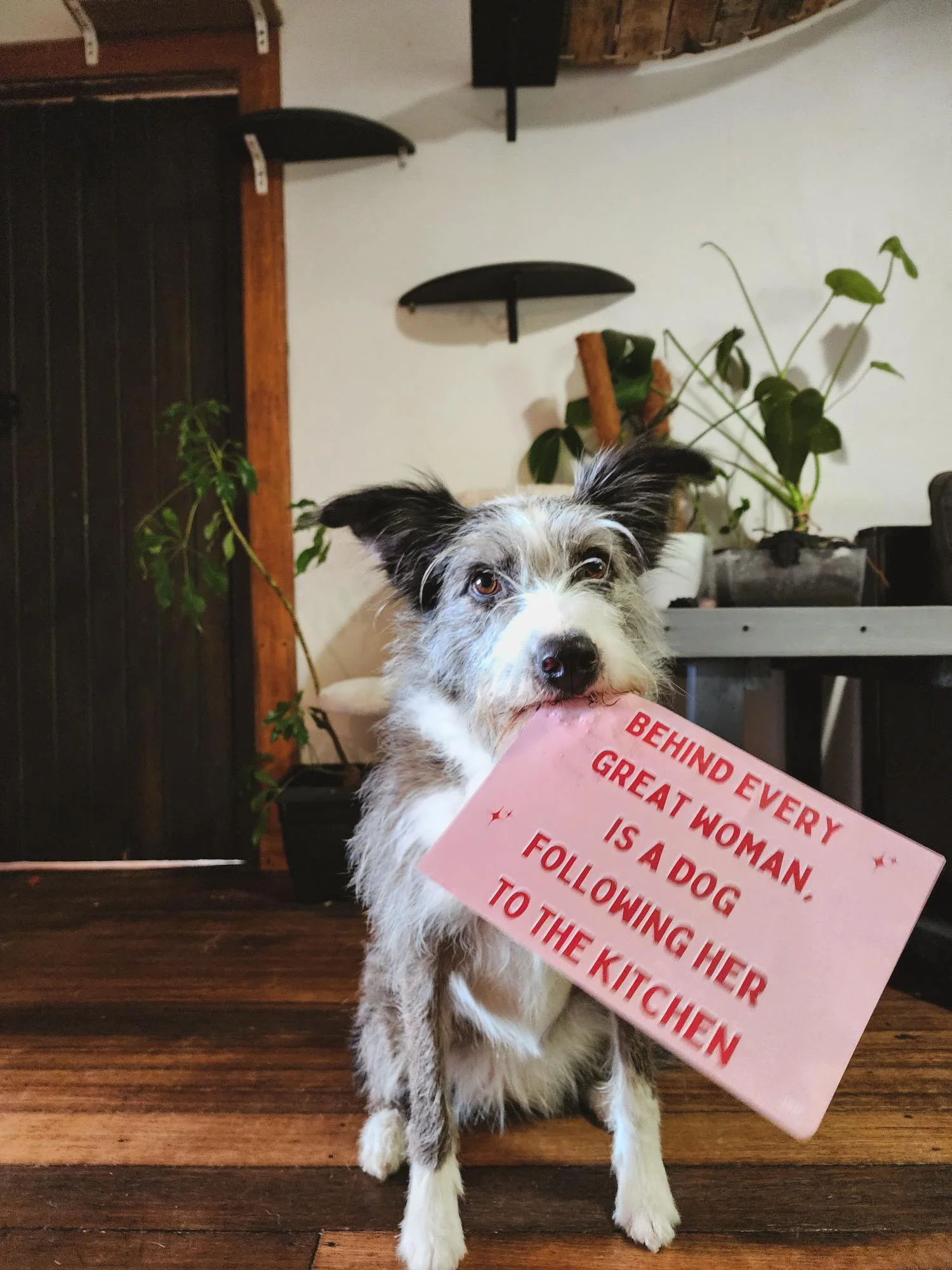 Echo with Hell Hound Treats Poster