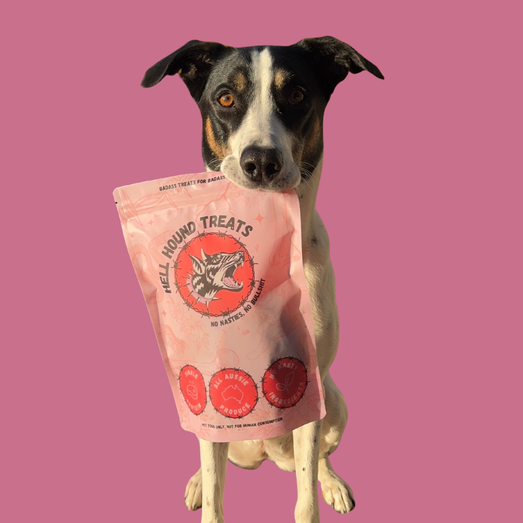 Donate To A Dog Rescue