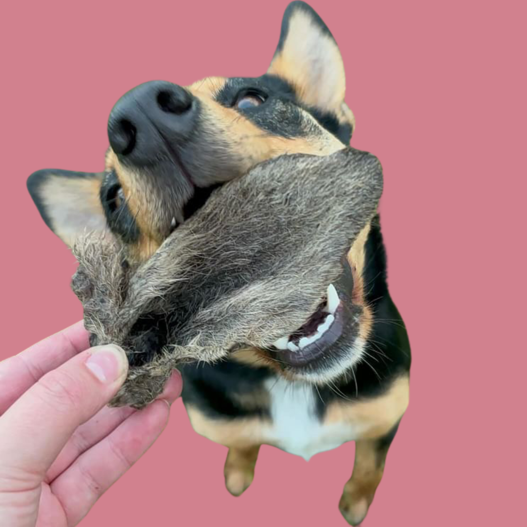 Furry Roo Ears