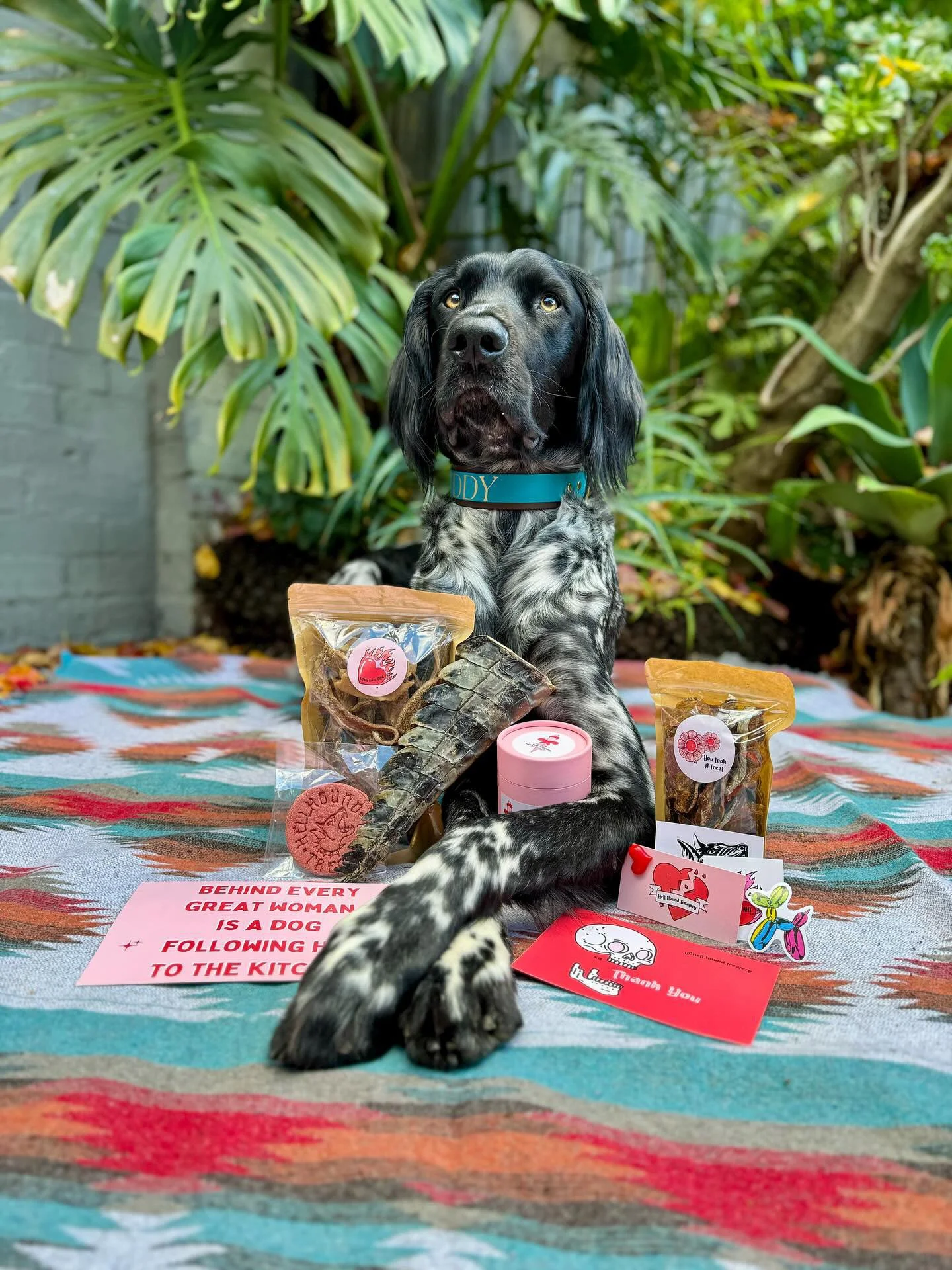 Buddy with Hell Hound Treats Delivery
