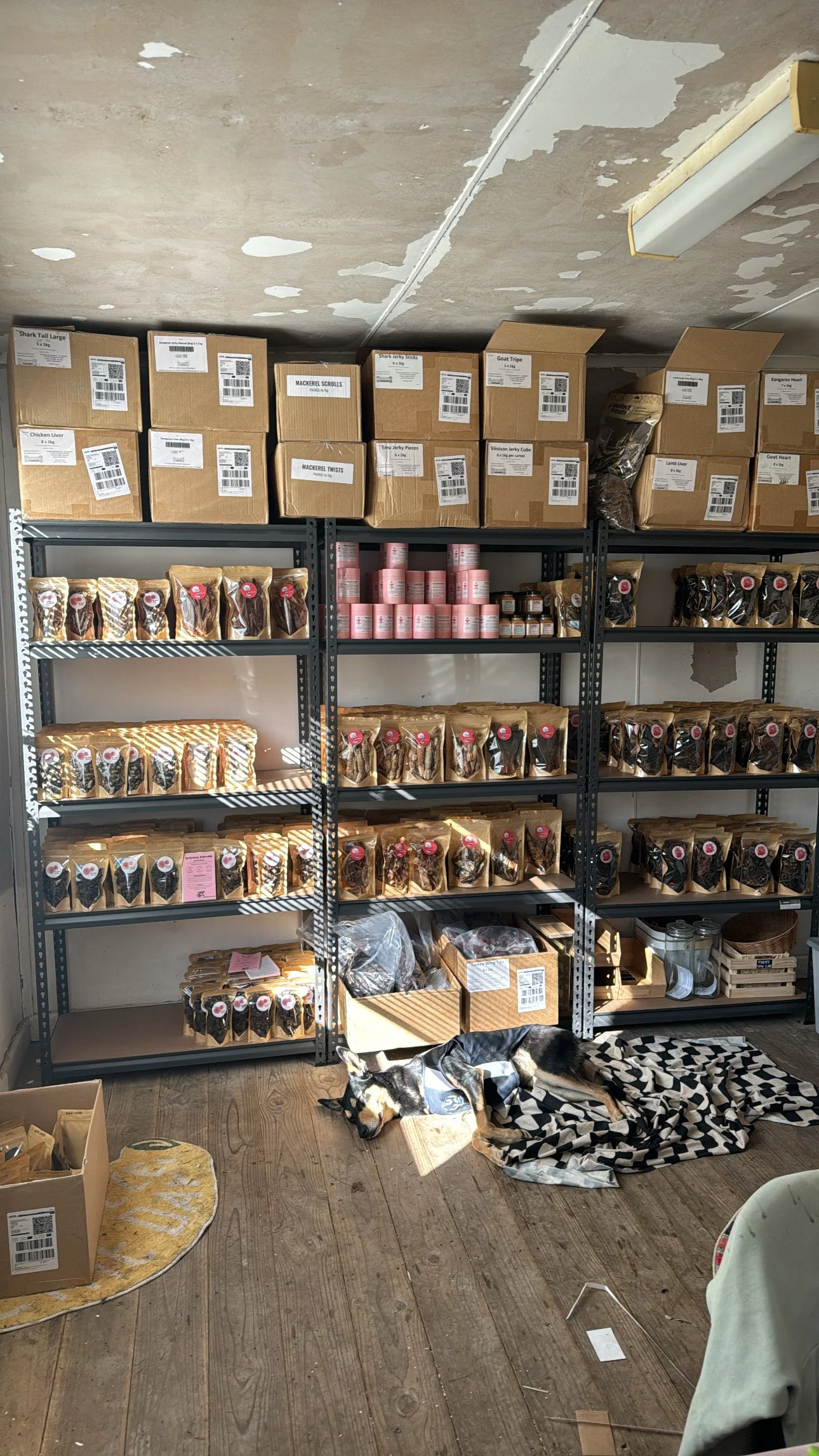 Full Shelves Before Launch