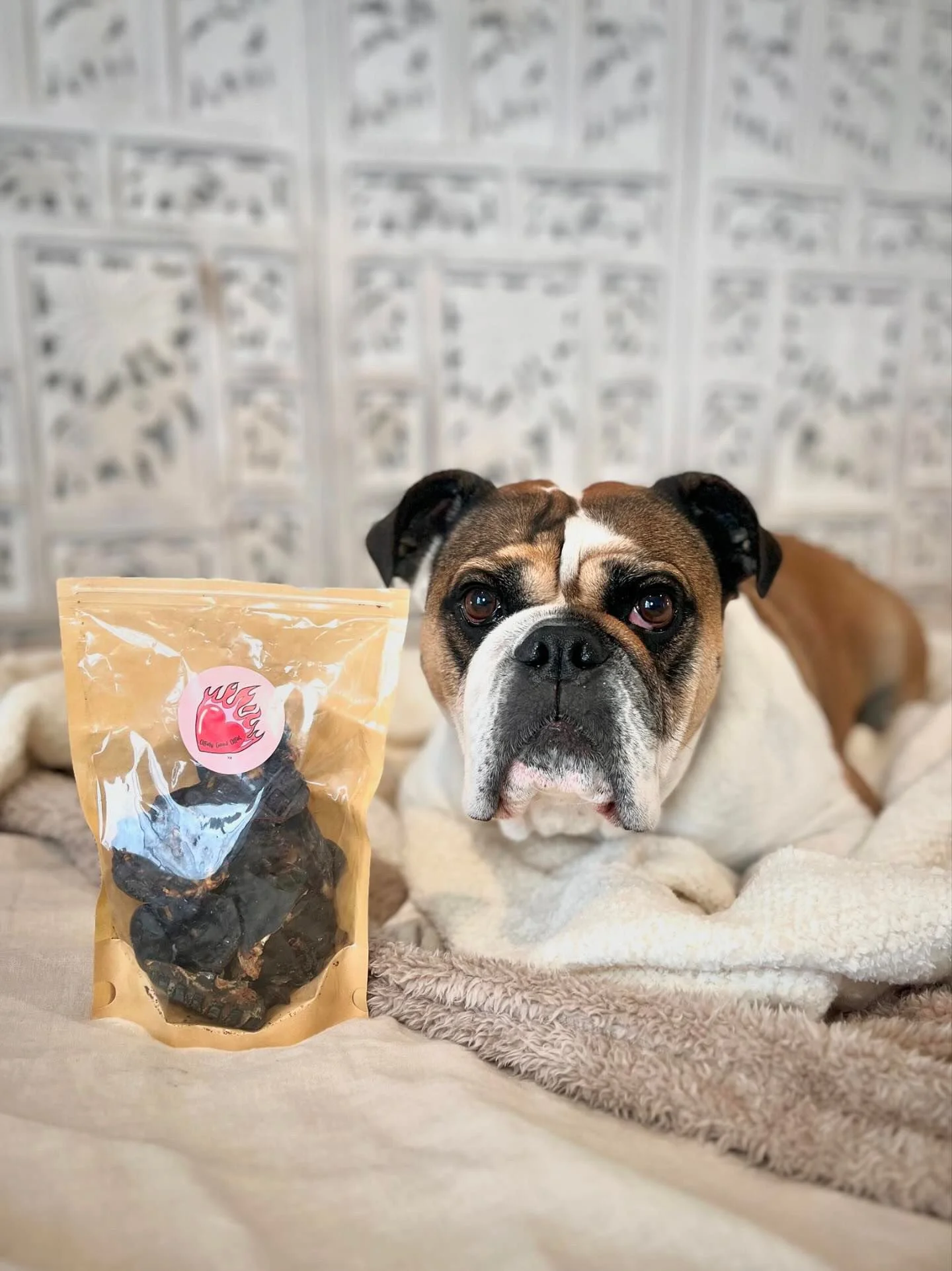 Luda with Hell Hound Treats Delivery