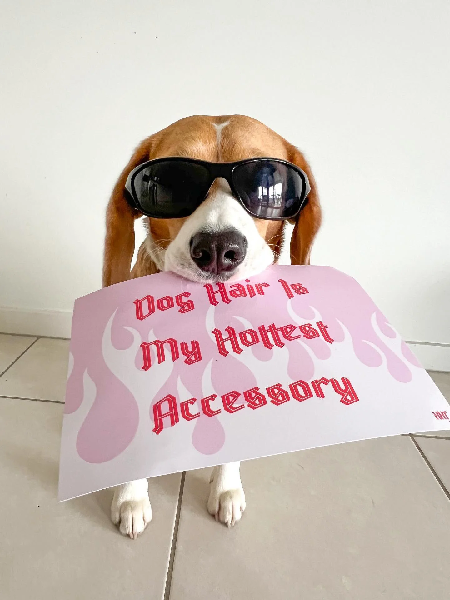 Nala with Hell Hound Treats Poster