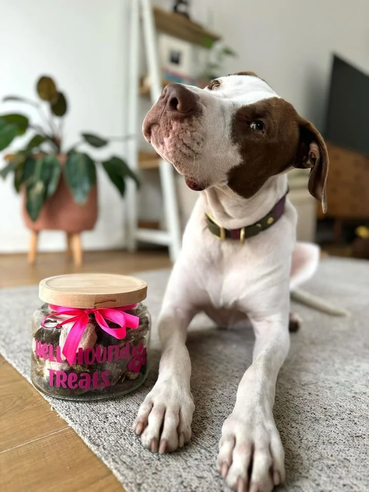 Posie with Hell Hound Treats Jar