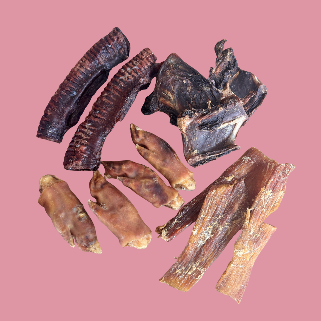 Power Chewers Pack