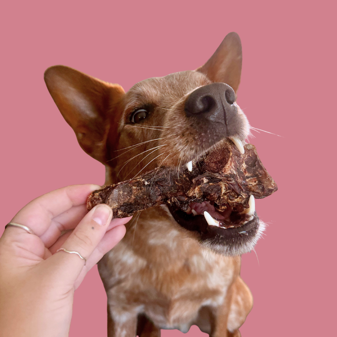 Roo Teeth Cleanser
