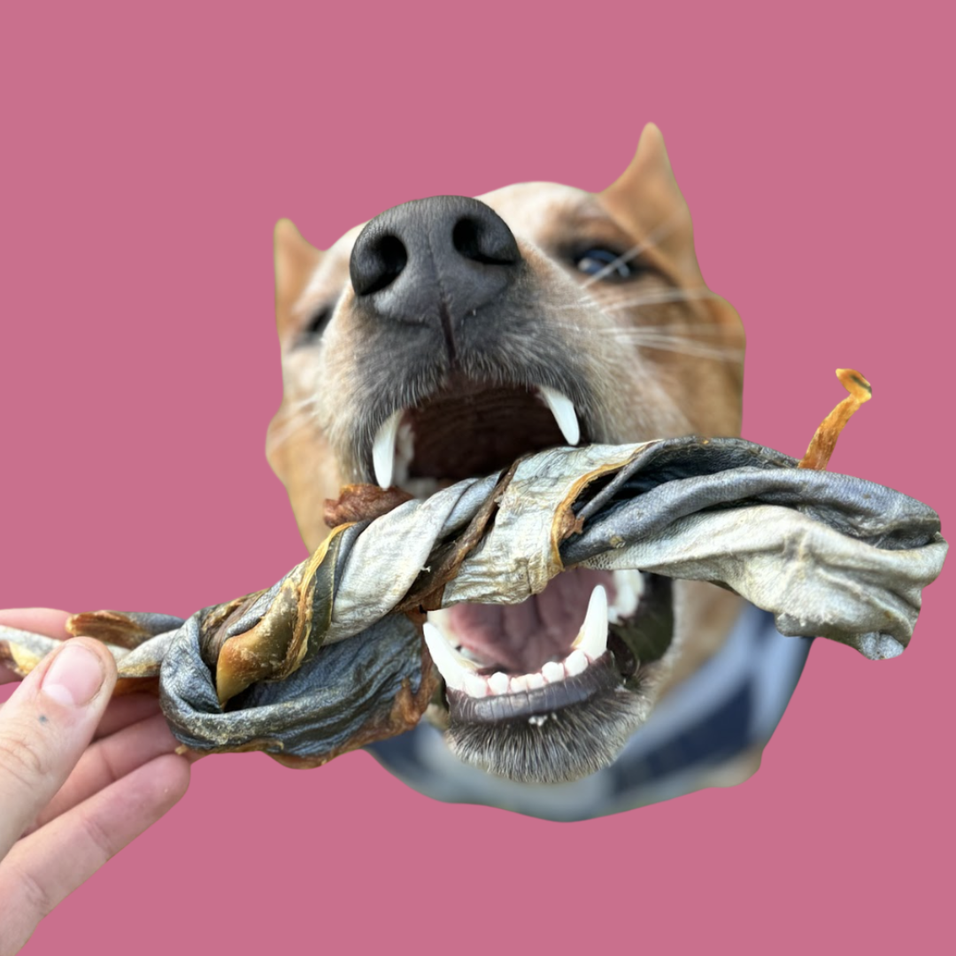 Mackerel Twists