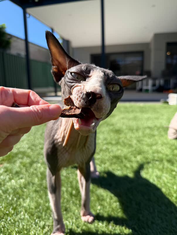 2BAAB898-4774-4CBE-85C4-0F1A9EDFB90A (1).JPG