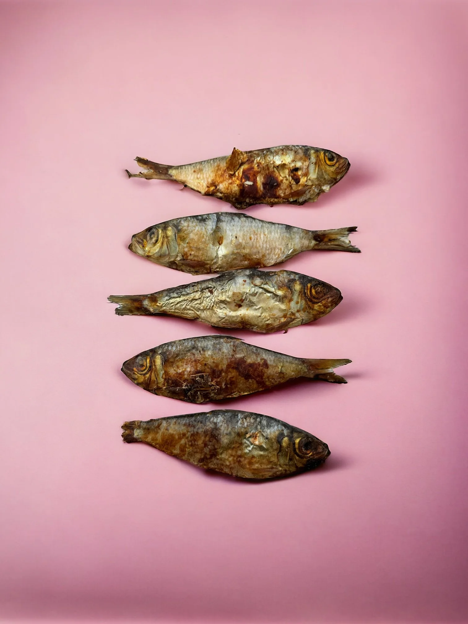Forage fish
