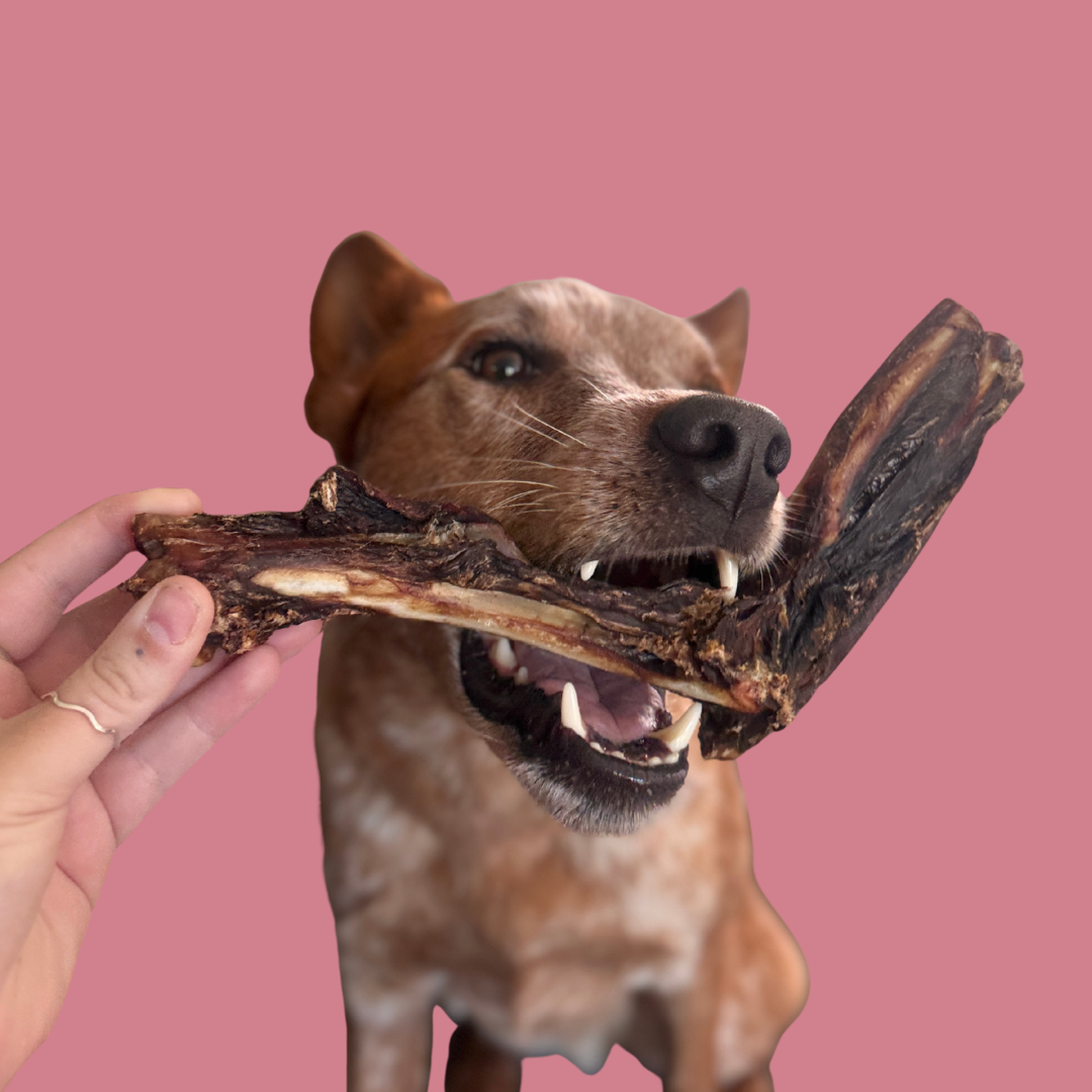 Roo Boomerang