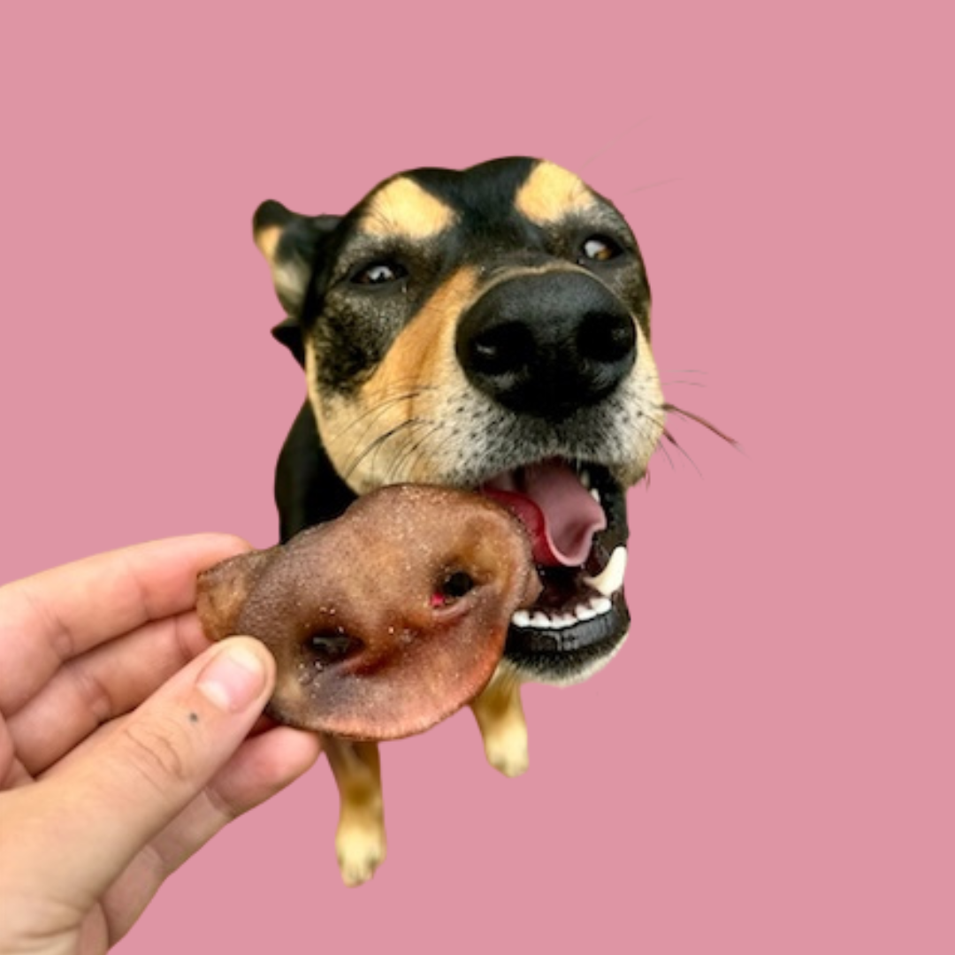 Pig Snouts