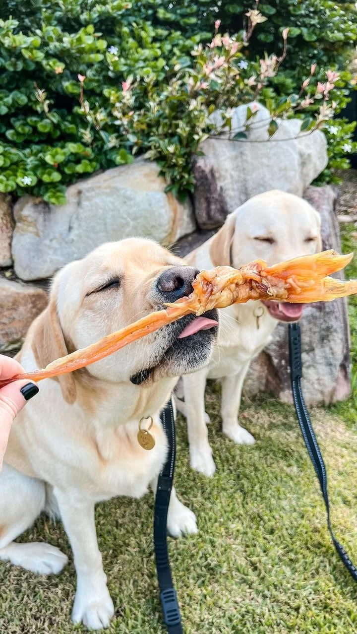 Alfie & Kevin with Achilles Tendon