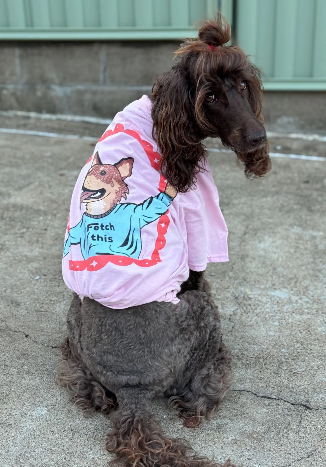 Winnie in Hell Hound Treats Merch
