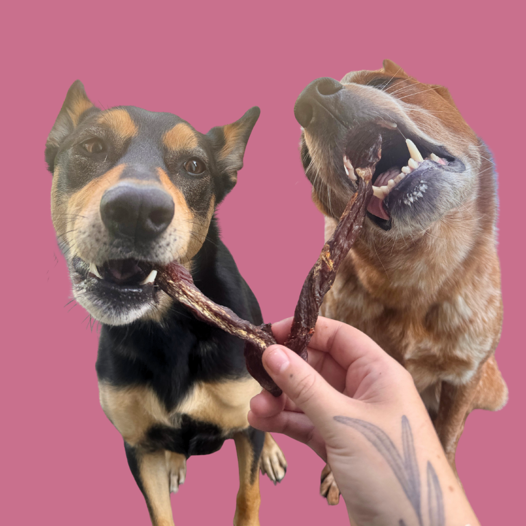 Croc Jerky