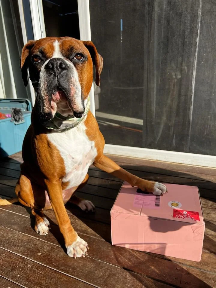 Aaron with Hell Hound Treats Delivery