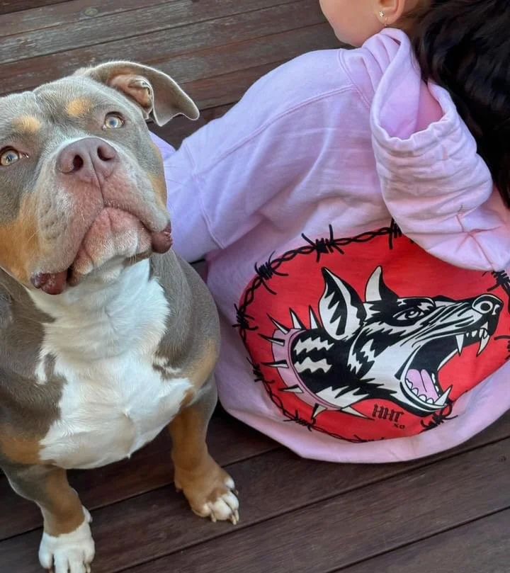 Hell Hound Treats Pink Hoodie