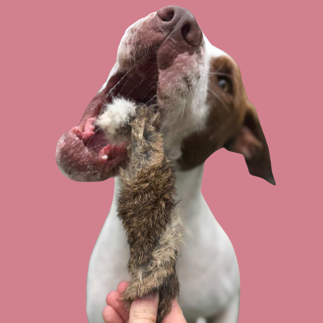 Wild Furry Rabbit Skin Twists