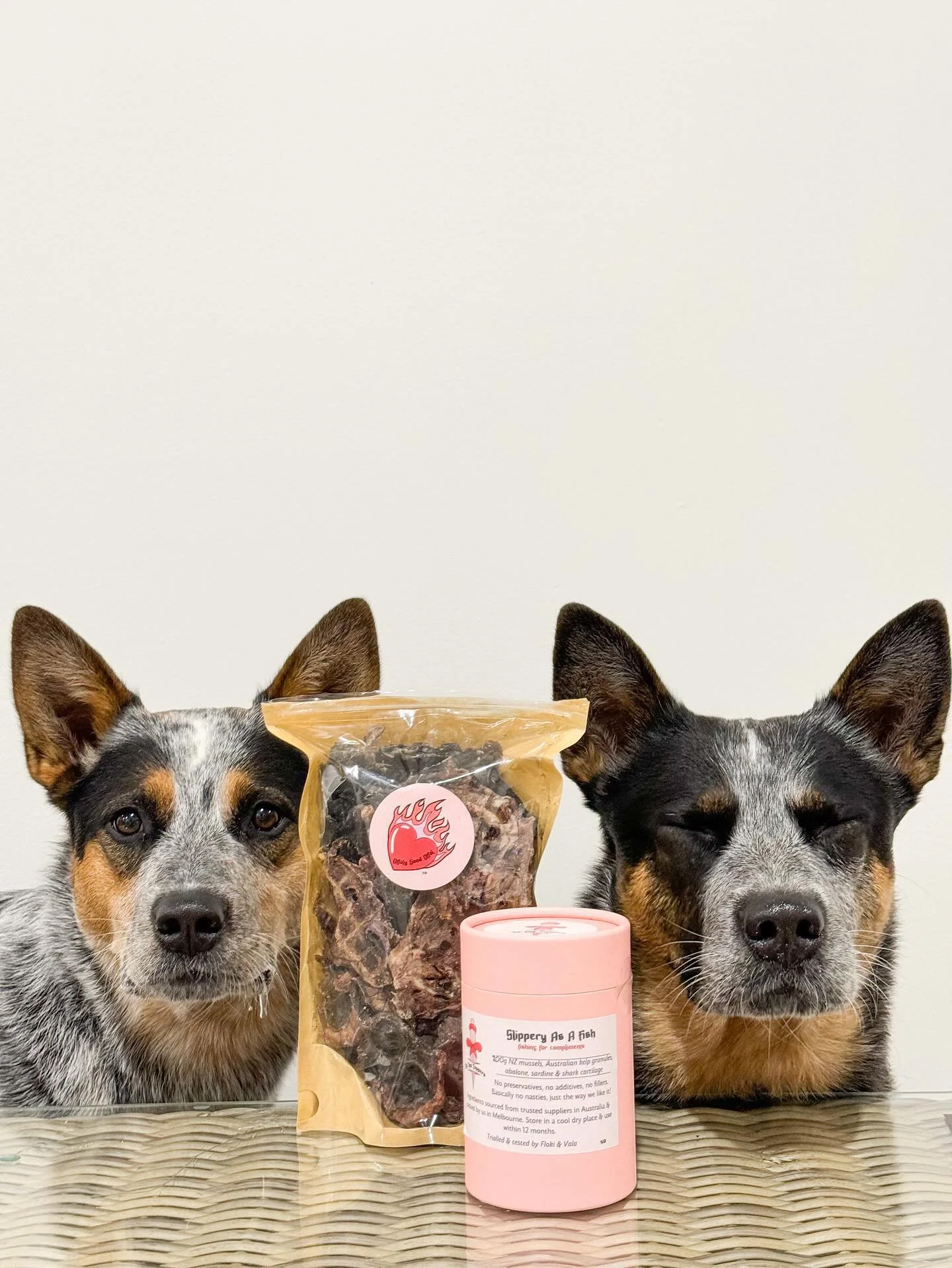 Willow & Winnie with hell hound treats delivery