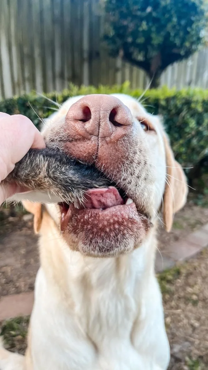 Kevin with Furry Rabbit Foot