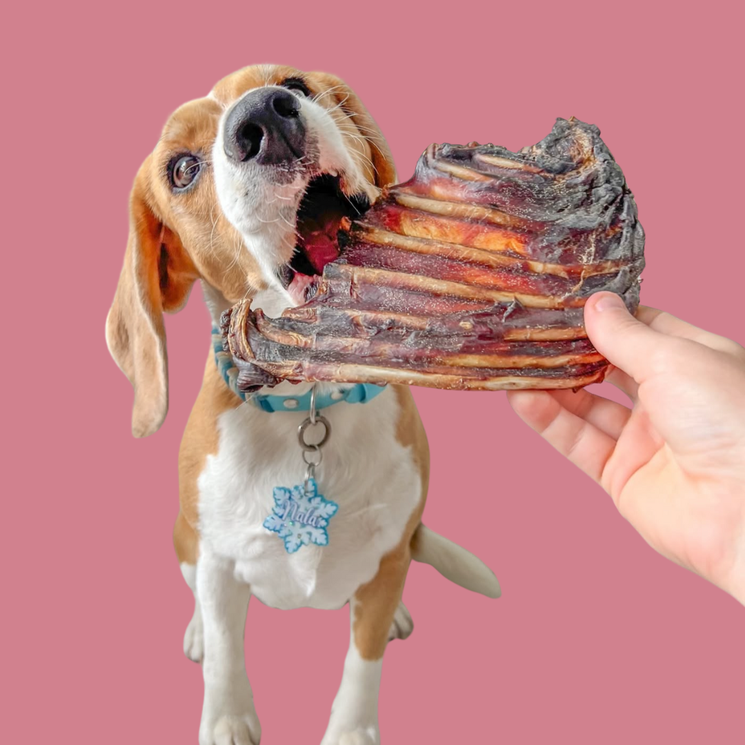 Roo Rib Rack