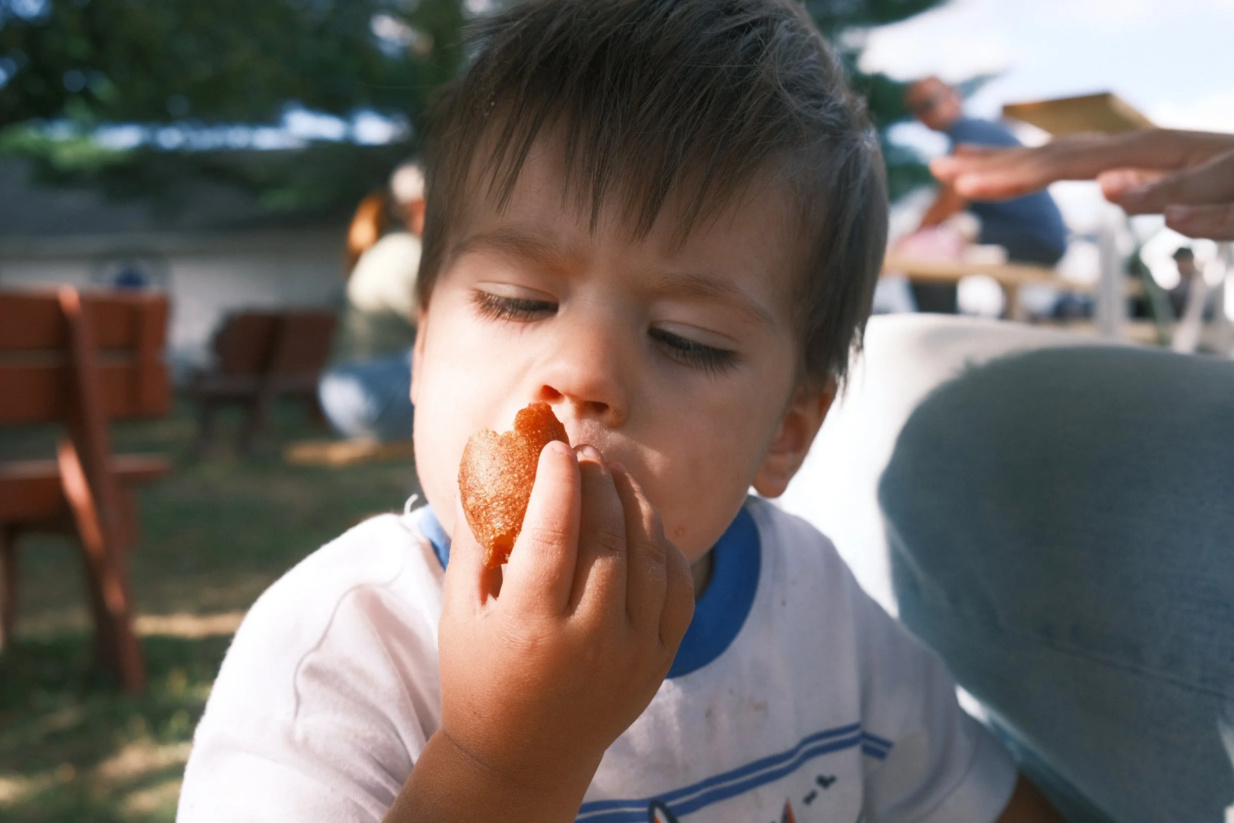 Geauga County Fair 2025