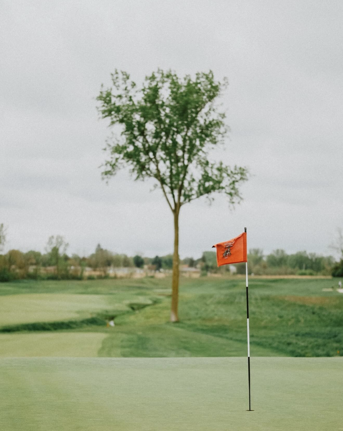 Screenshot 2025-02-25 at 9.16.38 AM.png