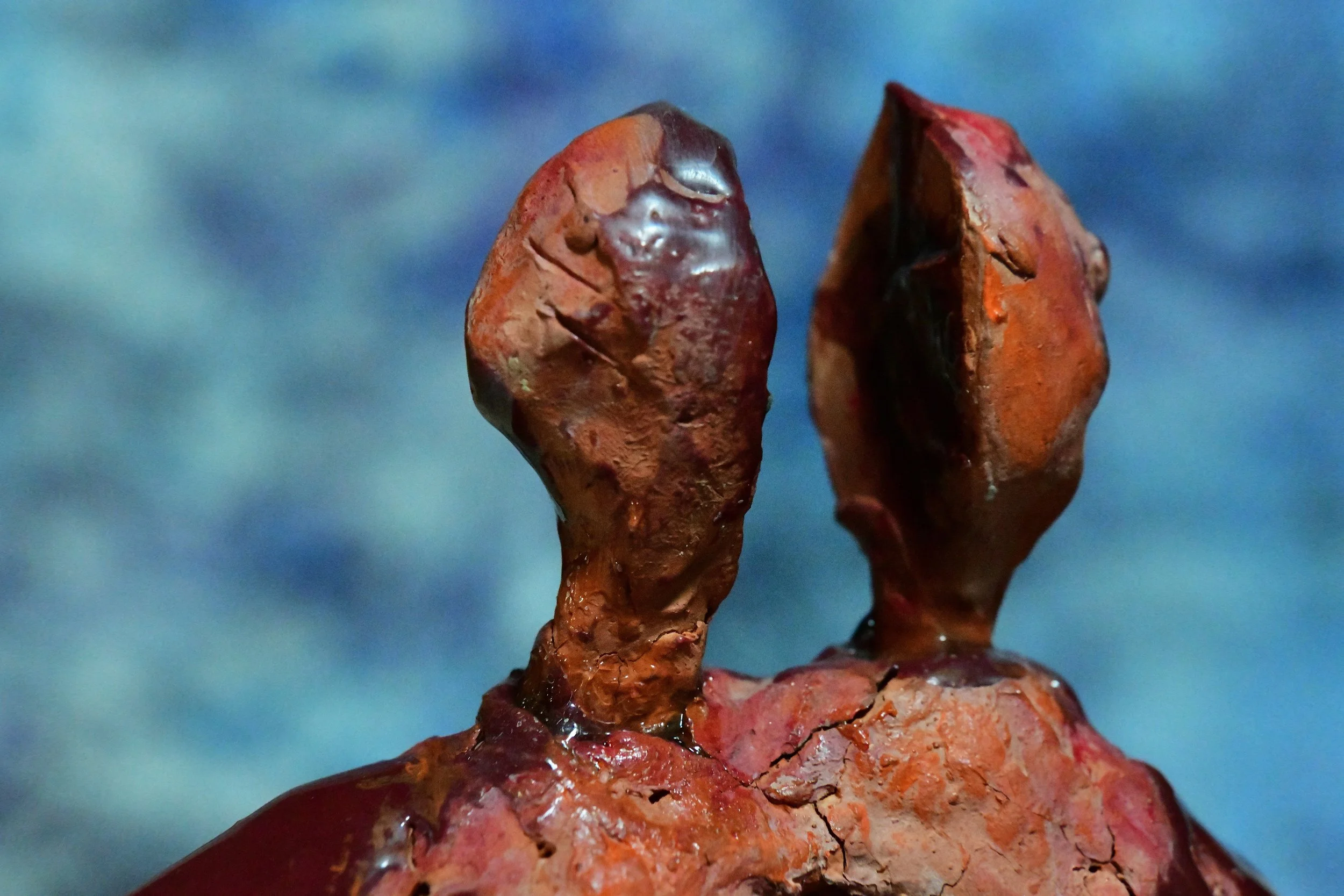 omhelzing van het leven2-min.jpg