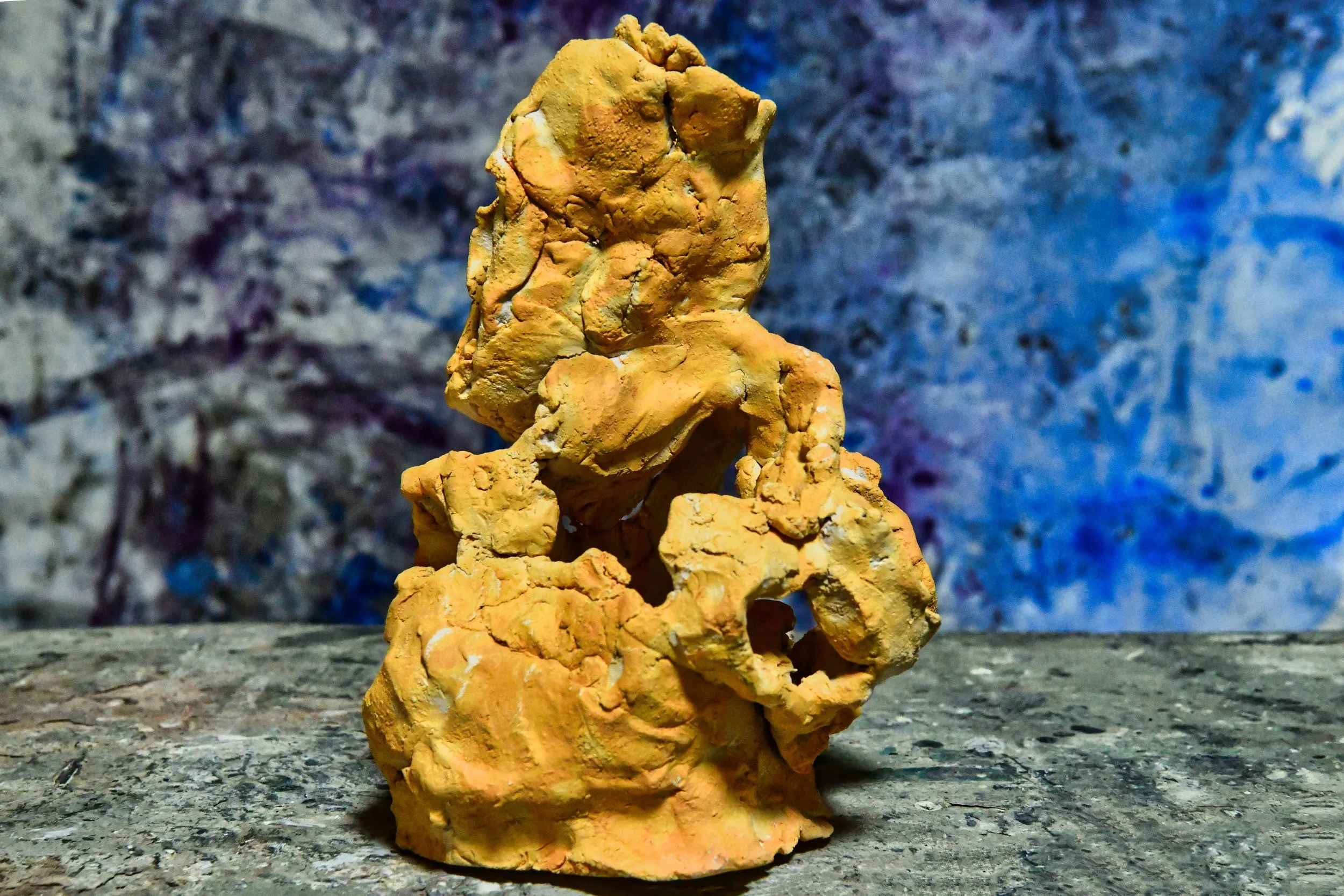 wild gewild hoofdfoto.jpg