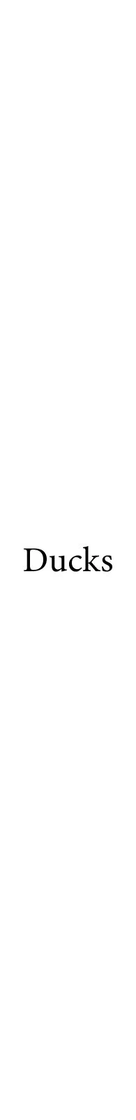 00 Label_Ducks.jpg