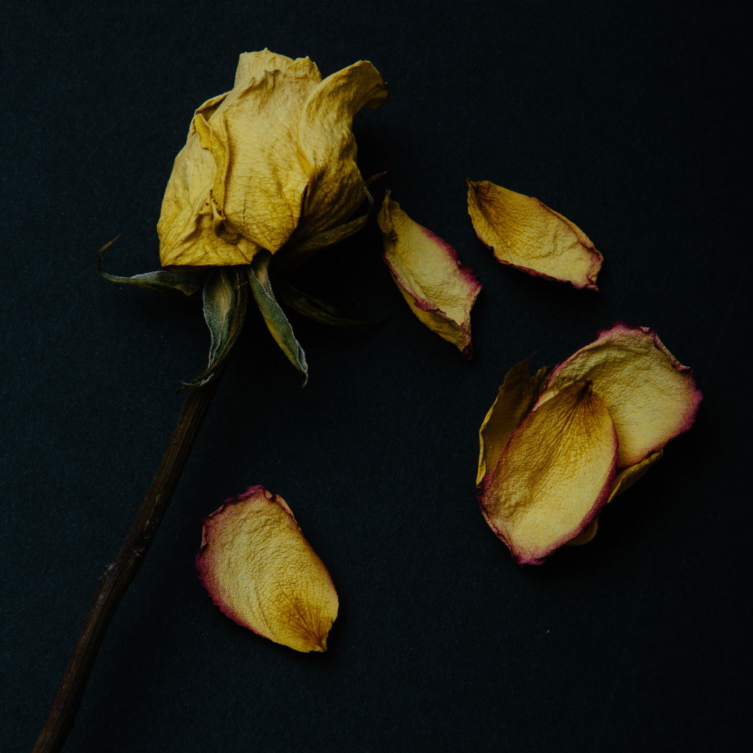 Un viaje por el Aqueronte