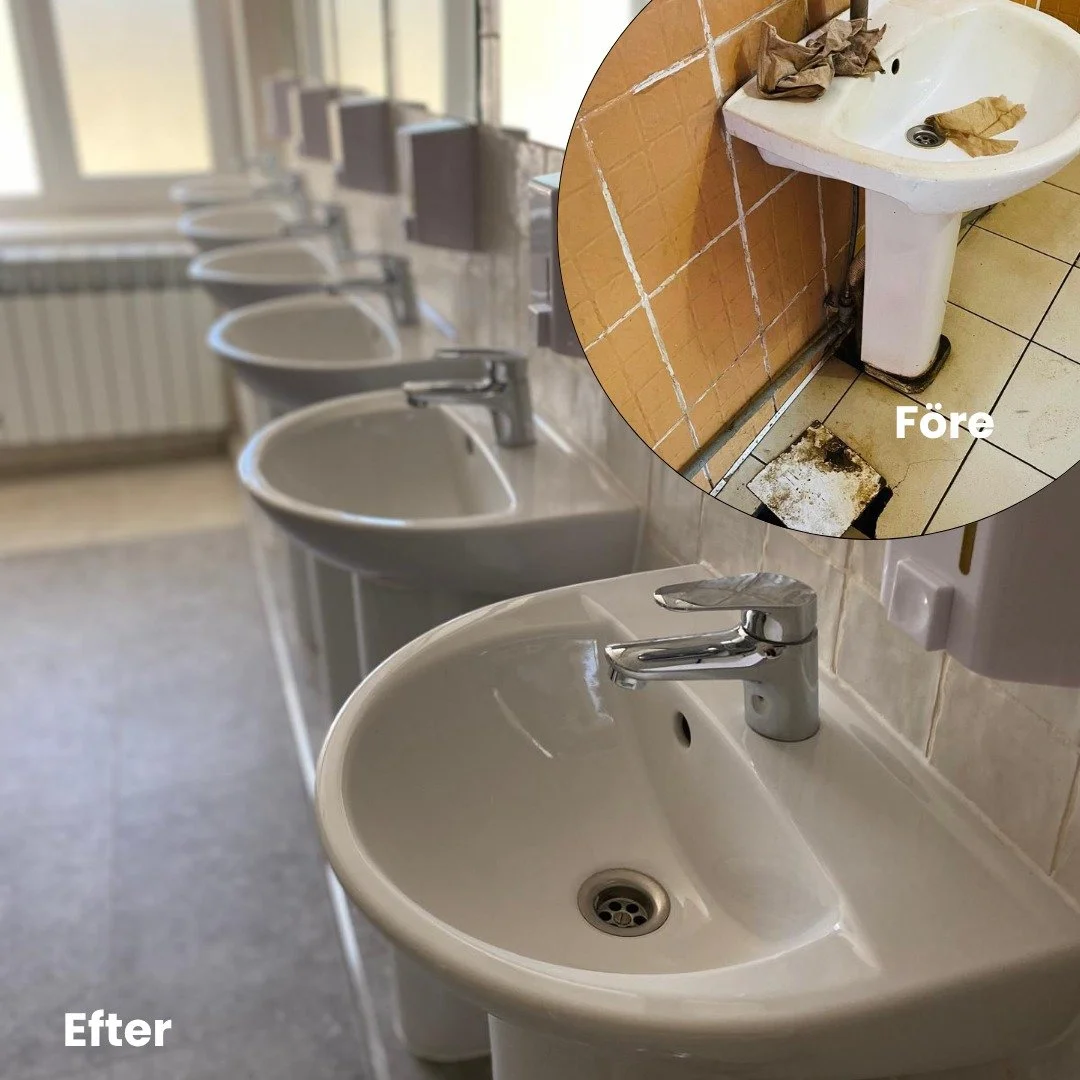 WhatsApp Image 2025-10-28 at 19.08.32.jpeg