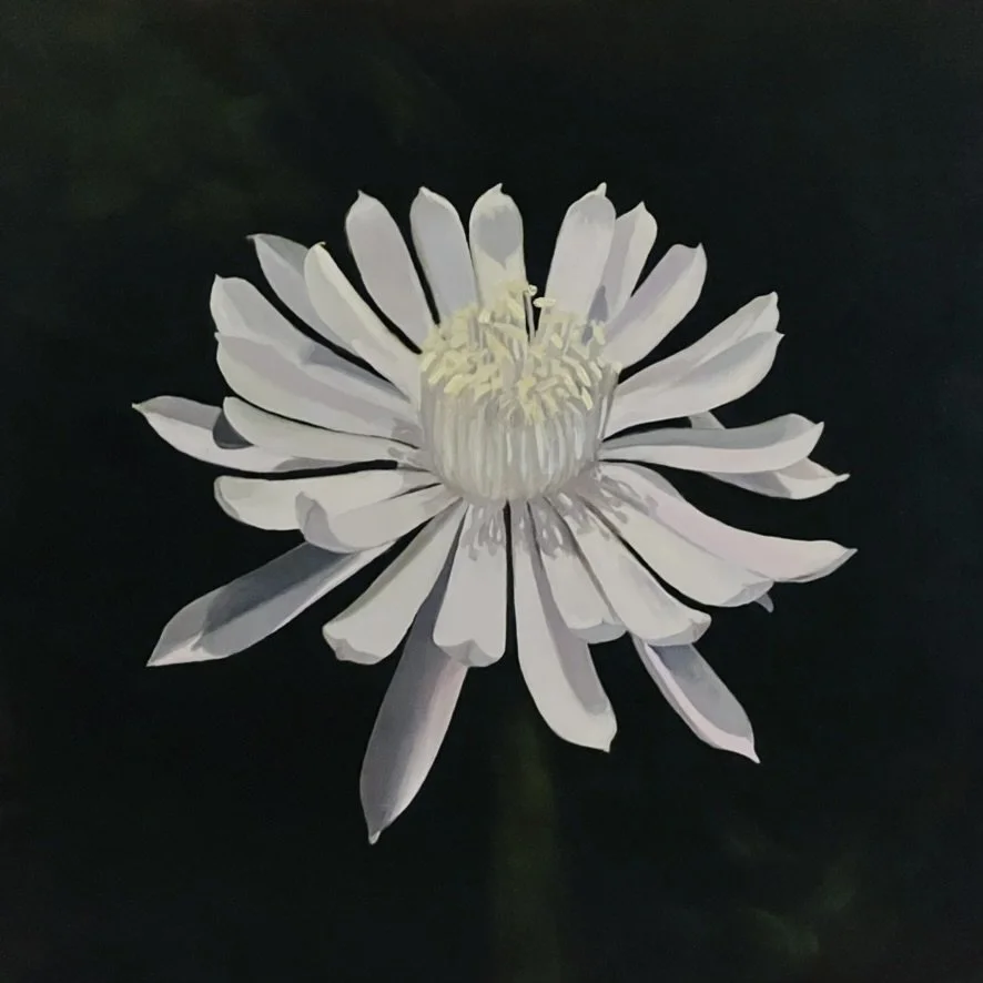 Queen of the Night #1, 12x12in, Oil on birch panel, Available on Daily Paintworks