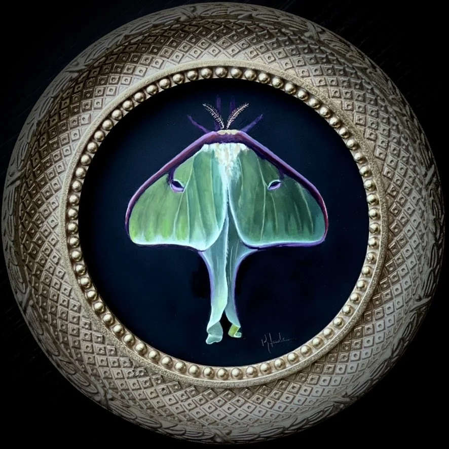 Luna Moth, 8in, Oil on copper, Sold
