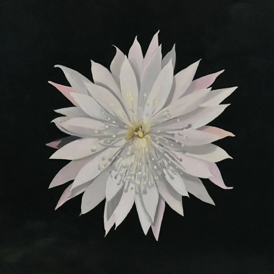 Queen of the Night #2, 12x12in, Oil on birch panel, Available on Daily Paintworks