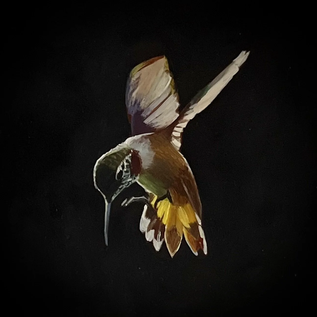 Hummingbird Study | Oil on copper | 4 ⨉ 4 inches | after a photo by Keith Spangle