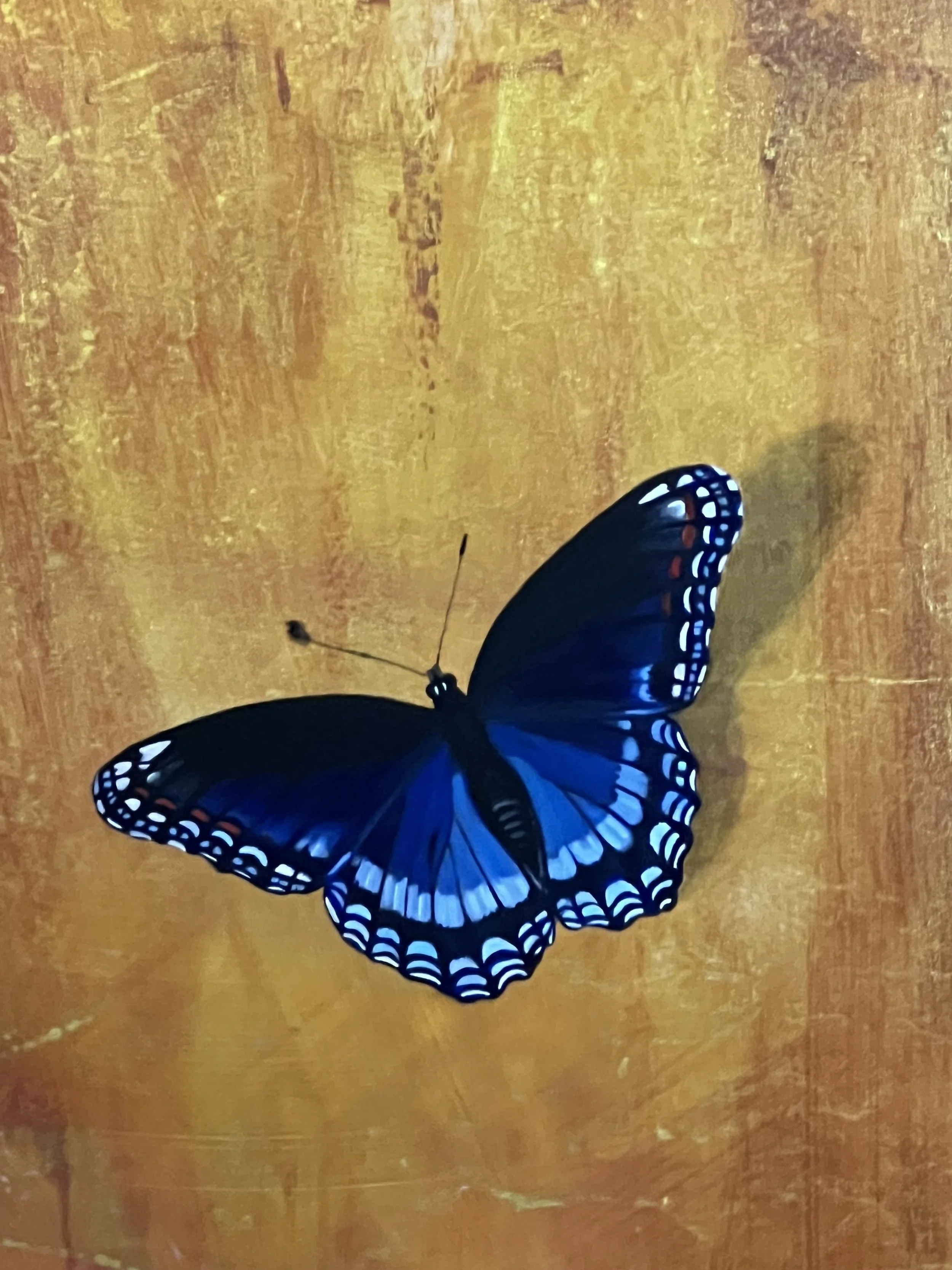 "Red Spot Butterfly on a Field of Orange and Gold" (detail)