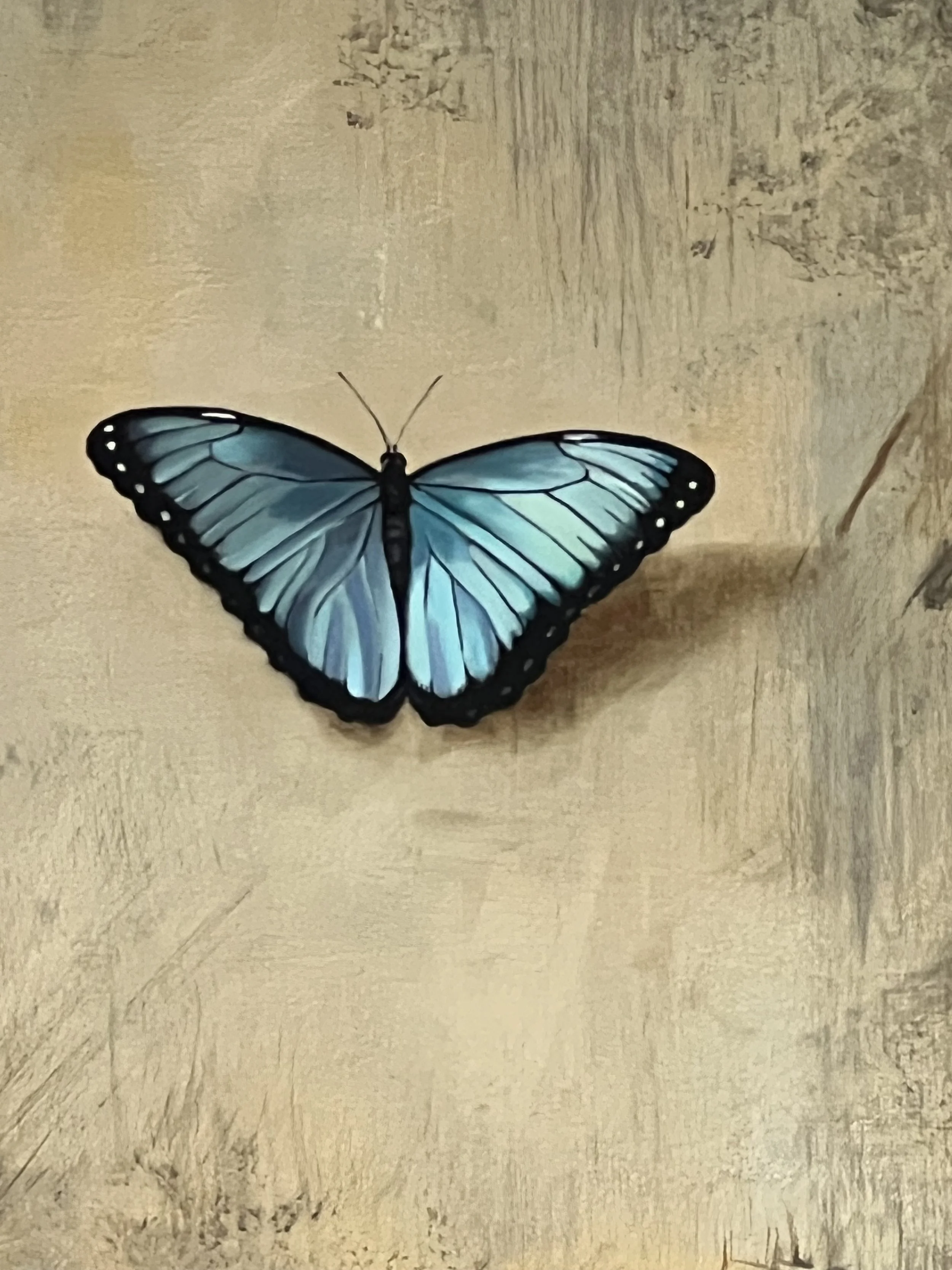 "Blue Morpho on Black and Gold" (detail)