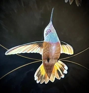 A colorful bird with extended wings and long tail feathers, shown from above, floating on dark water.