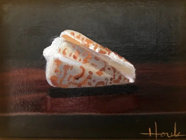 A painted depiction of a white and orange seashell on a dark background with a dark reflective surface underneath.