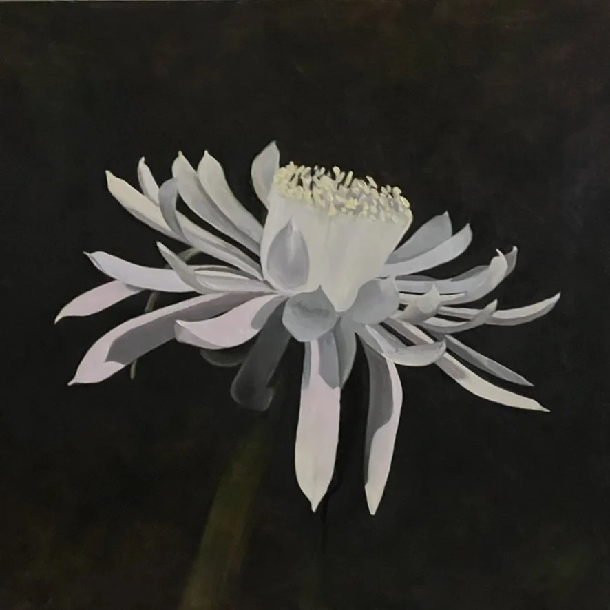 Queen of the Night #3, 12x12in, Oil on birch panel, Available on Daily Paintworks