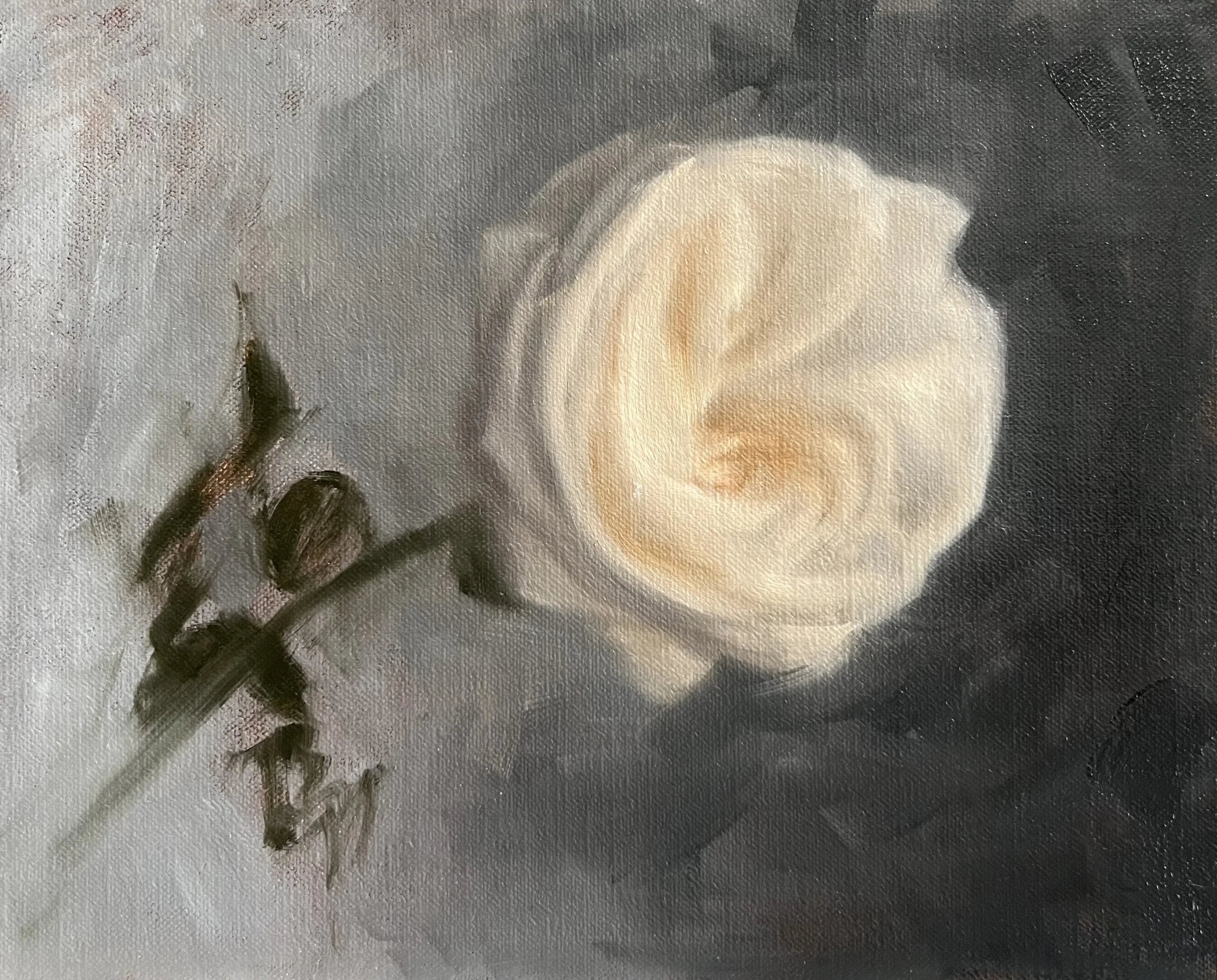 A close-up of a flower with light-colored petals and dark green stems against a textured gray background.