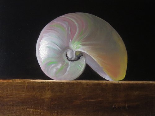 Shell