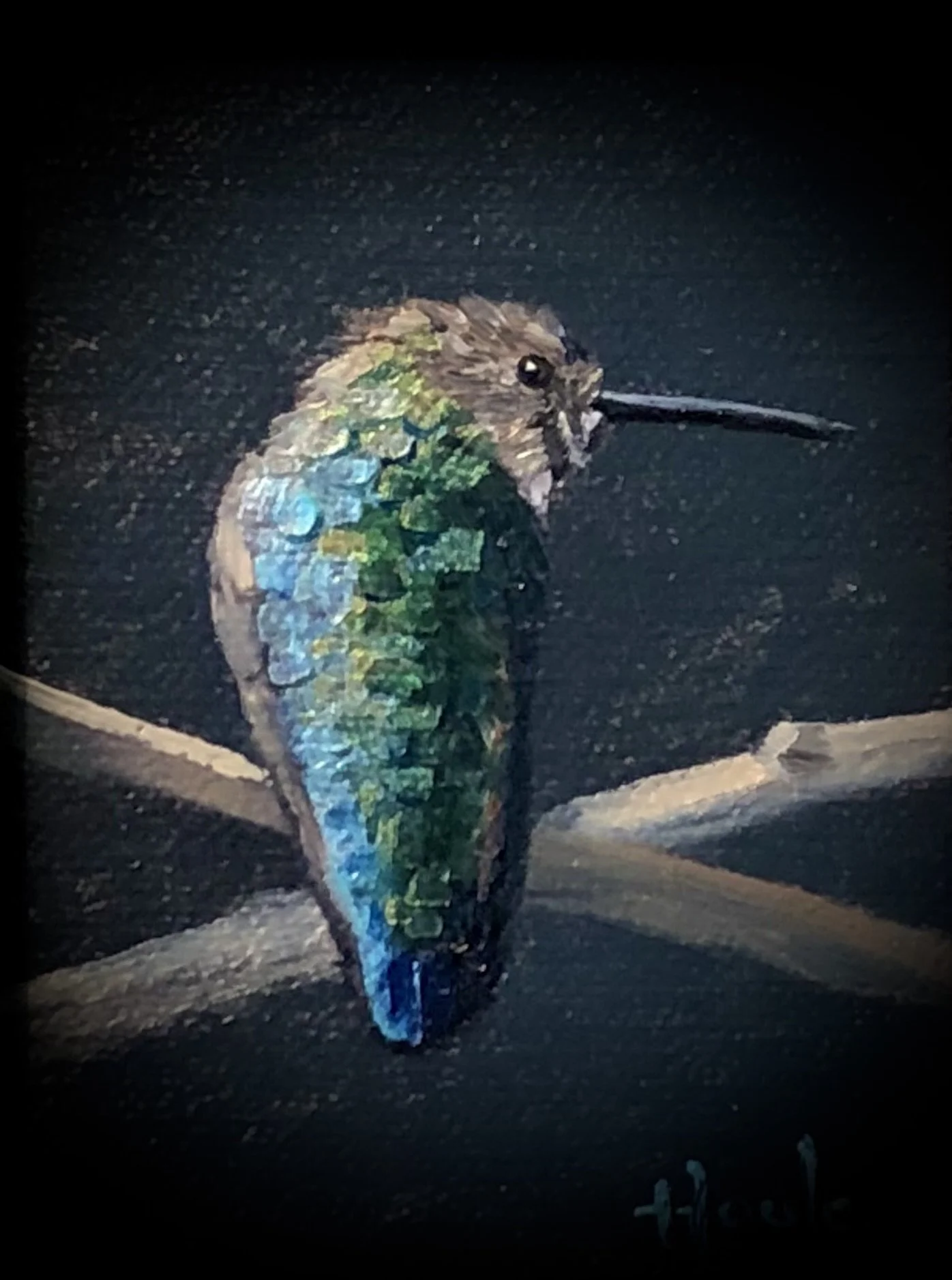 A comical, colorful drawing of a hummingbird with bright blue, green, yellow, brown, and white feathers, perched on a branch against a dark background.