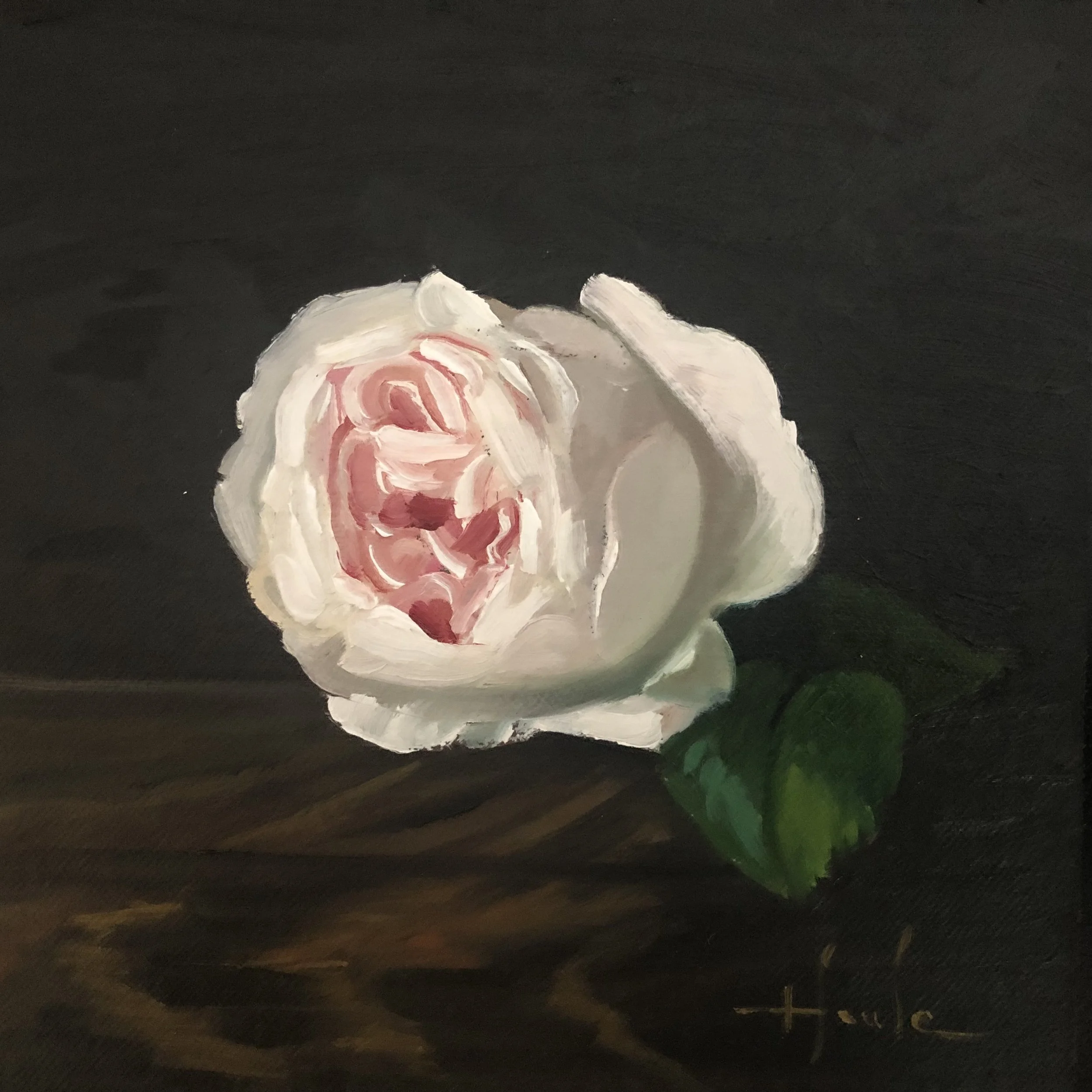 A partially visible white flower with pink and cream accents set against a dark background.