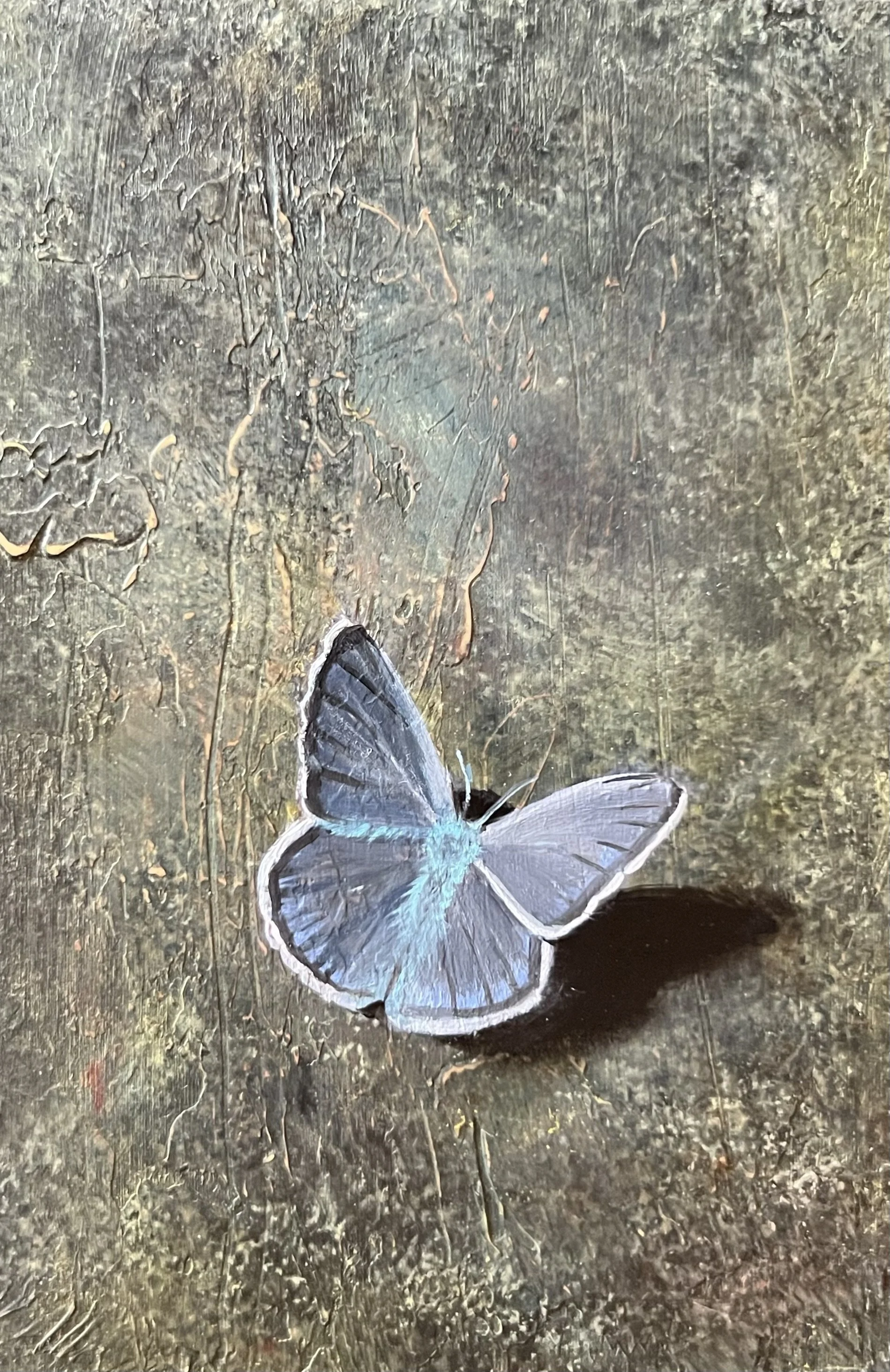 "Common Blue at Rest" | Acrylic and oil on birch panel | 6 ⨉ 4 ⨉ 1/2 inches