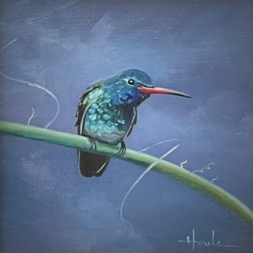 Broad-Billed Hummingbird, 6x6in, Oil on linen, Sold